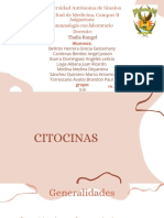 CITOCINAS