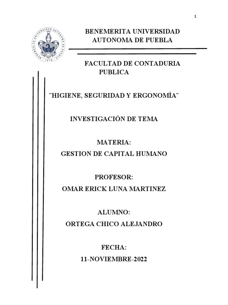 Valores y Roles Del Gerente Del Capital Humano | PDF