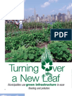 Turning Ver A New Leaf: Green Infrastructure
