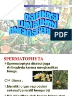 Klasifikasi Spermatophyta