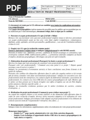 Plan De Redaction Projet Professionnel Pdf Recherche D Emploi Travail