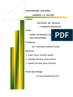 Monografía - Cultivo de Anteras