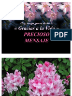 +HOY-tengo-ganas-de-decir-Graciasa-la-Vida