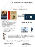 Posture, topography and anthropometry