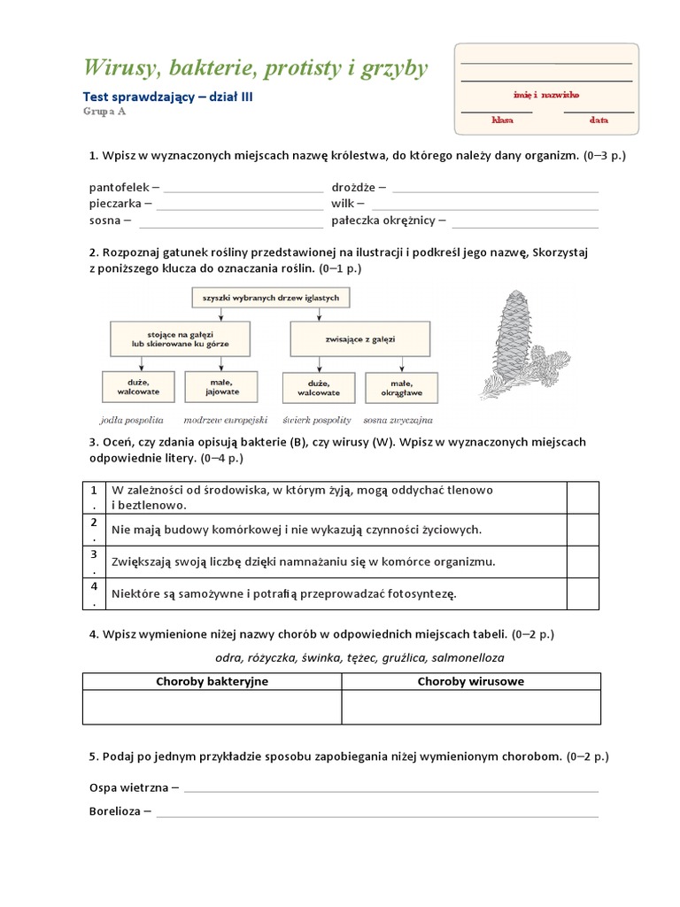 Bakterie I Grzyby Są Wykorzystywane Do Produkcji Antybiotyków Ponieważ Test Wirusy Bakterie Protisty I Grzyby | PDF