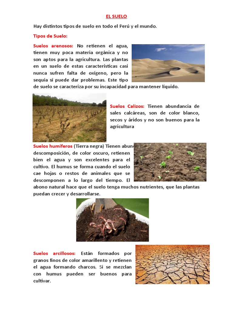 Tipossuelosperú Pdf Suelo Agua
