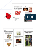 PDF Leaflet