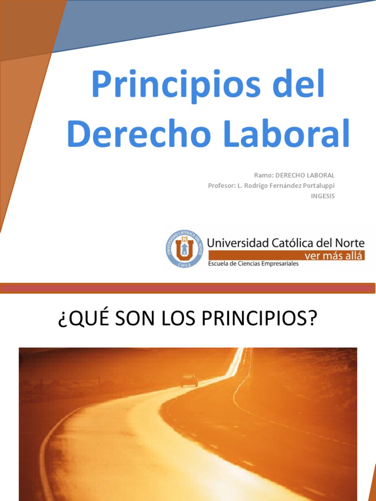 Principios del Derecho Laboral Argentino | PDF | Derecho laboral ...
