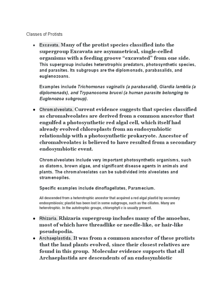 major-groups-of-protists-a-classification-based-on-evolutionary
