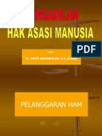 Hukum Acara Pengadilan HAM Dr. Hesti Armiwulan, S.H., M.Hum.