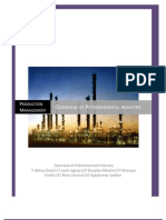 Overview of Petrochemical Industry