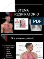 Sistema Respiratorio Anatomia 1