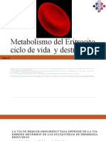 Metabolismo Del Eritrocito..