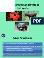 Materi KD 2 Persebaran Flora Dan Fauna Di Indonesia