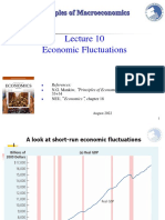 Economic Fluctuations Explained