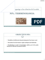UF1.NF1. Terminologia