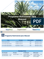 Programa nutricional - Abacaxí
