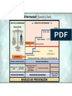 Historia Natural de La Enfermedad