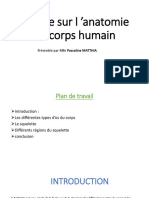 Anatomie Du Corps Humain