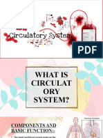 Circulatory System