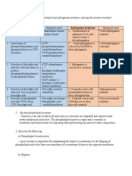 Phospholipid and Sphingosine Synthesis