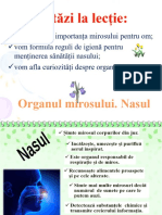 Nasul