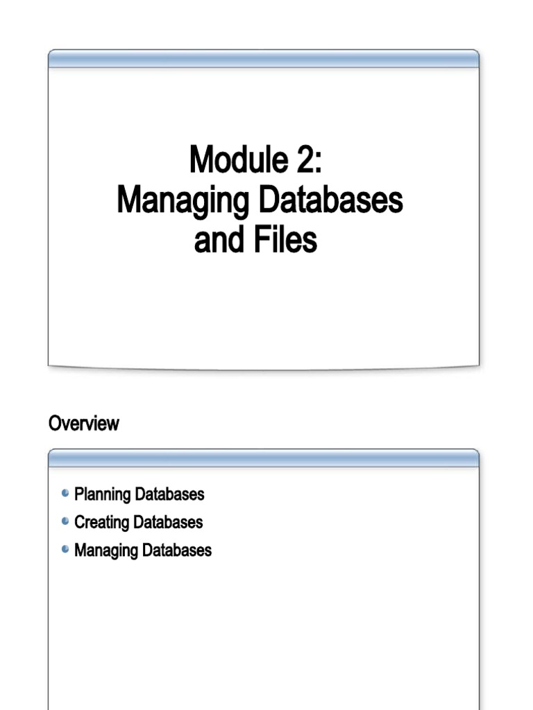 Managing Databases And Files PDF