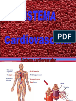 8 Sistema Cardiovascular