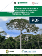 Estudio Ecológico de La Estructura Vertical de Las Principales Especies Forestales Maderables en La Amazonía Peruana PDF