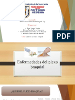 Enfermedades Del Plexo Braquial (1)