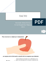 Tacto