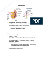 1 - Embriologia Renal Malformacioones Congenitas