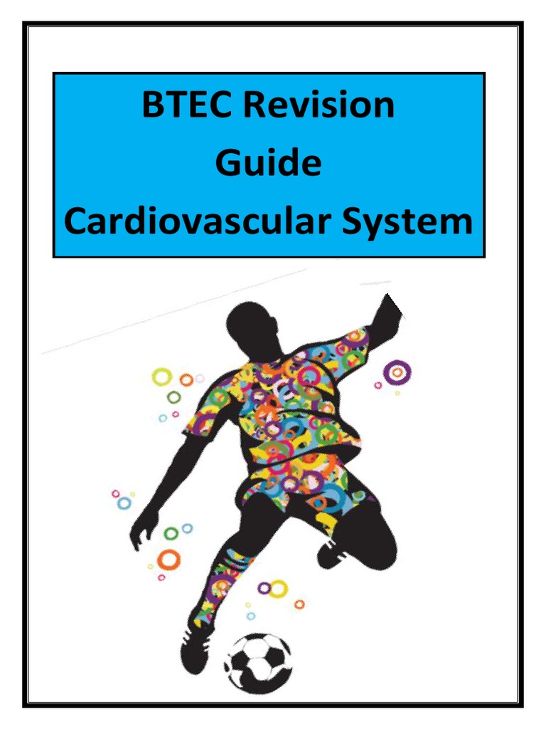 BTEC Sport Cardiovascular System Guide | PDF | Heart | Artery