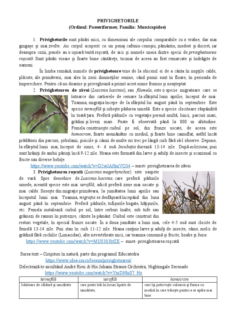 Fisa de Lucru Textul Informativ | PDF