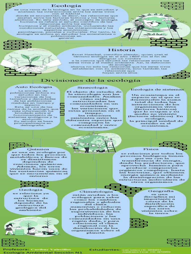 Mapa Conceptual de la Ecología | PDF | Ecología | Ecosistema