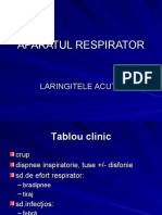 Aparatul Respirator - Laringitele Ac