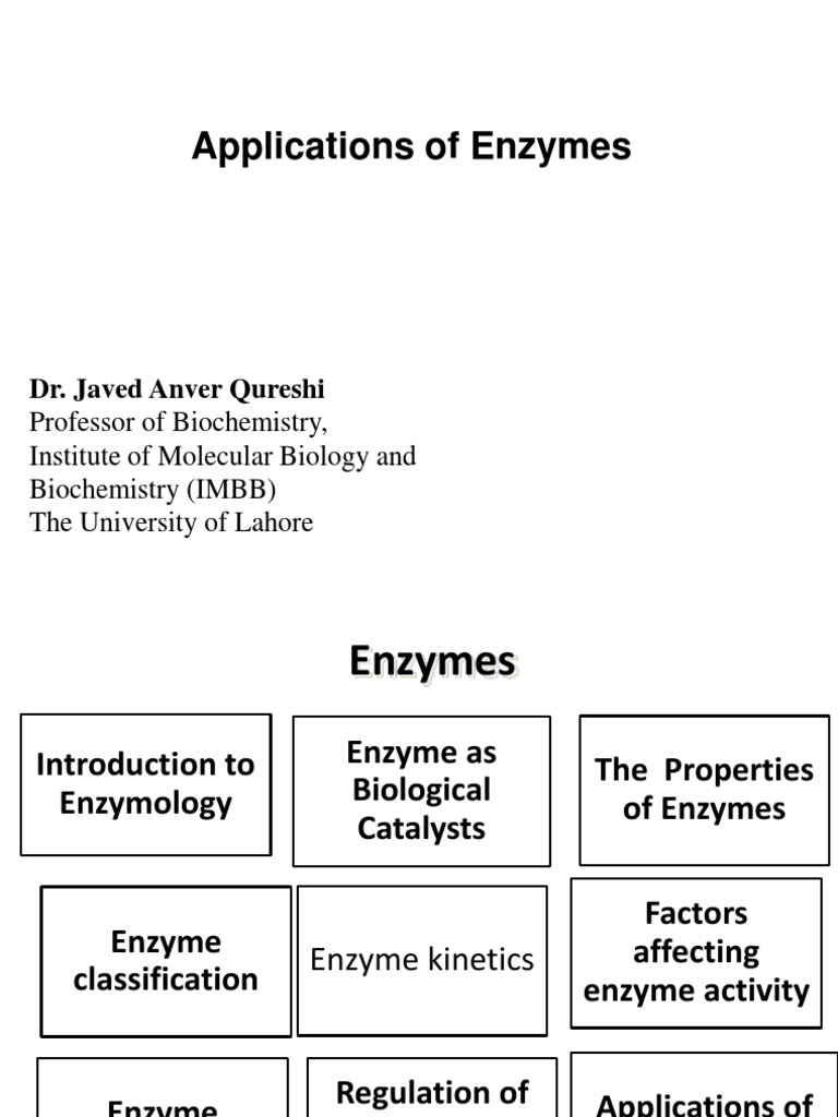 Applications of Enzymes PDF