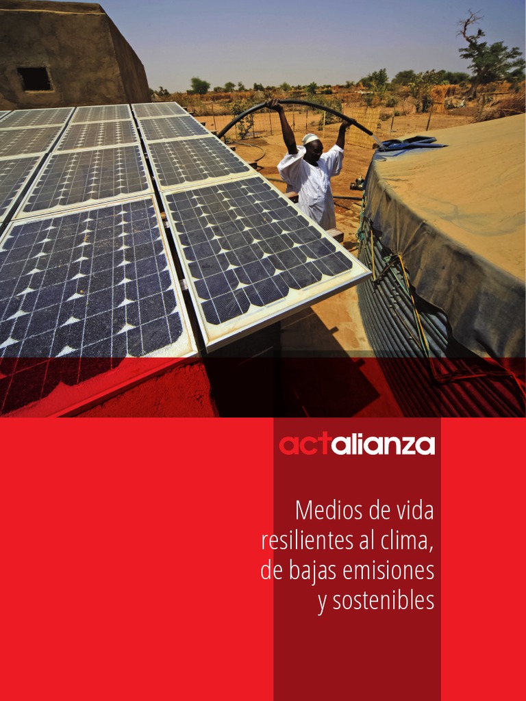 Medios de Vida 2 PDF