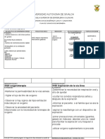 Plan de Cuidados de Enfermeria Noc. 7