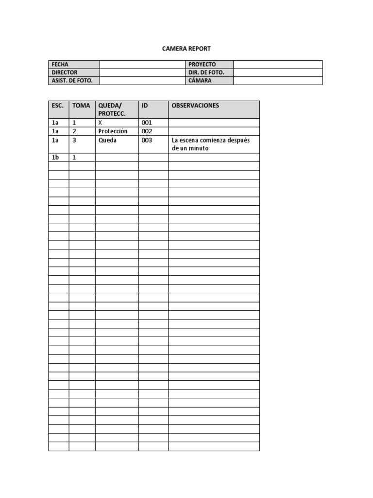 Camera Report | PDF