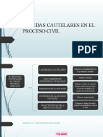 Medidas Cautelares en El Proceso Civil