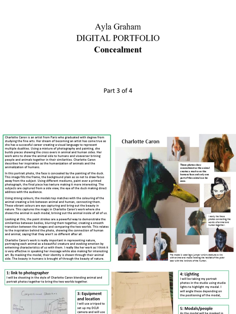Portfolio 3 PDF | PDF | Photograph | Paintings