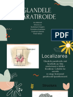 Glandele Paratiroide