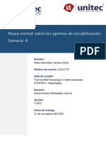 Mapa Mental Sobre Los Agentes de Socialización S6