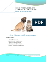 Curso Practicas de Cuidado para Caninos y Felinos