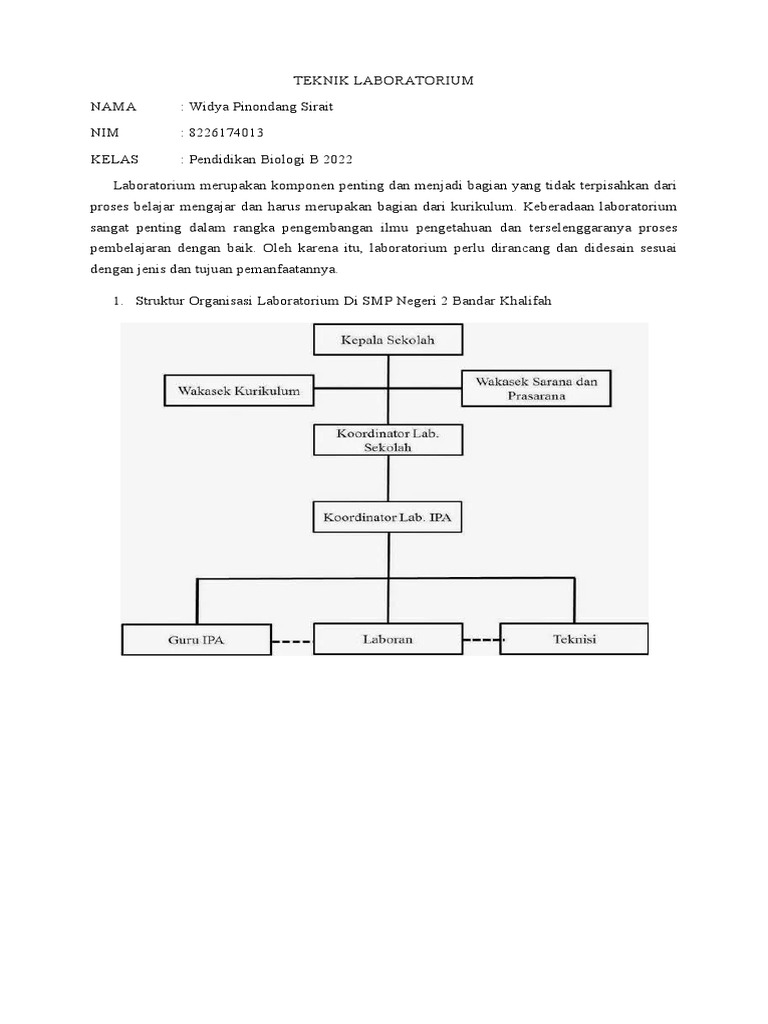 Tugas 1 Teknik Laboratorium | PDF