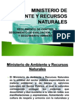 Ministerio de Ambiente y Recursos Naturales Presentacion