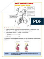 F31 FICHAS PRIMERO