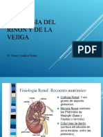 2  FISIOLOGIA RENAL