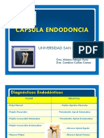 Cápsula Endodoncia